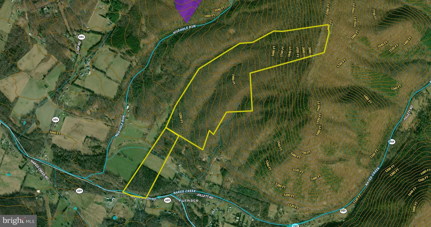 Naked Creek Road Elkton, VA 22827 - Photo 41 of 41