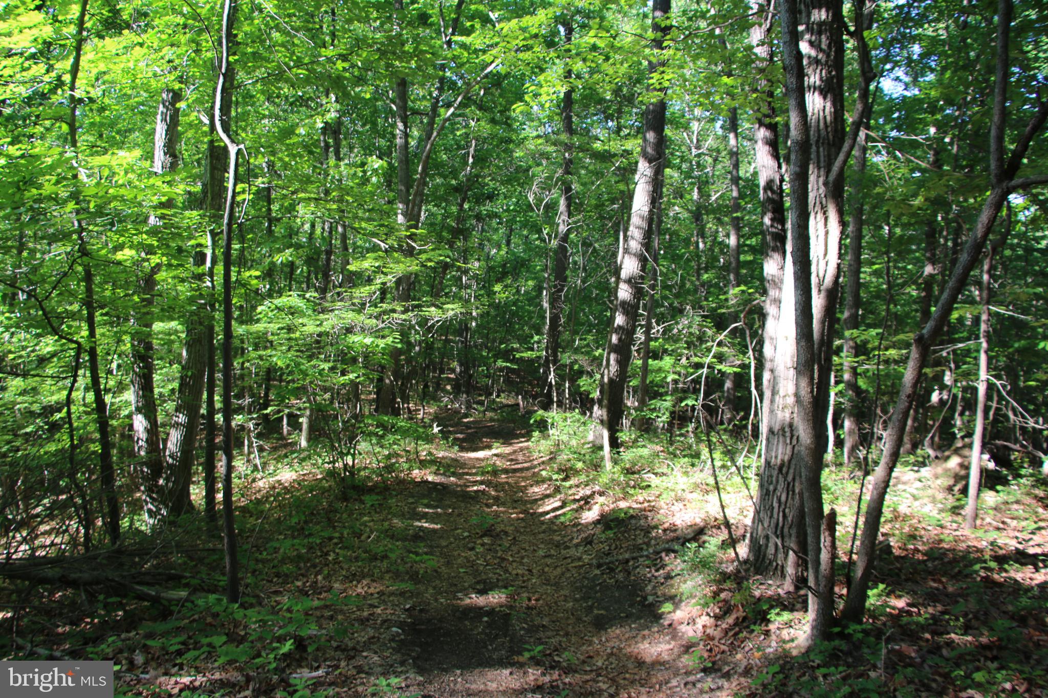Naked Creek Road Elkton, VA 22827 - Photo 5 of 41