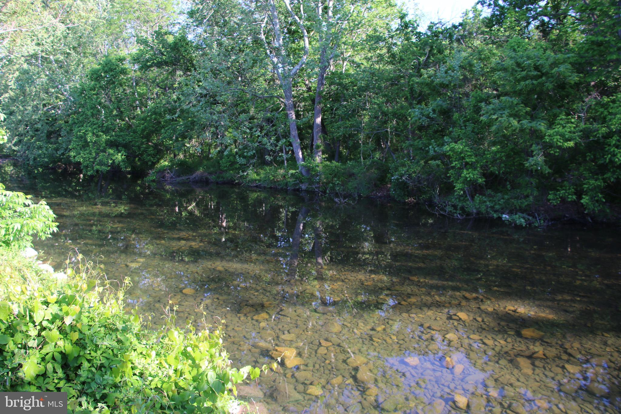 Naked Creek Road Elkton, VA 22827 - Photo 7 of 41