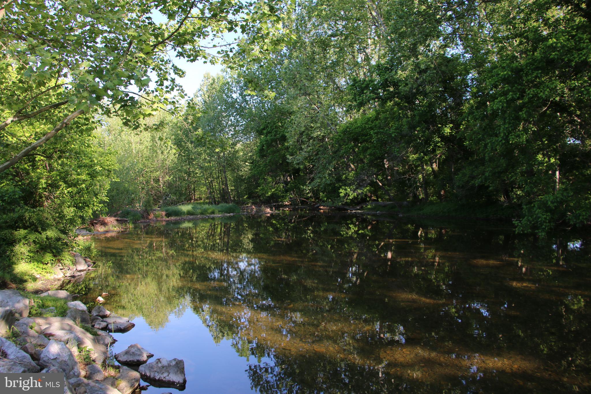 Naked Creek Road Elkton, VA 22827 - Photo 10 of 41