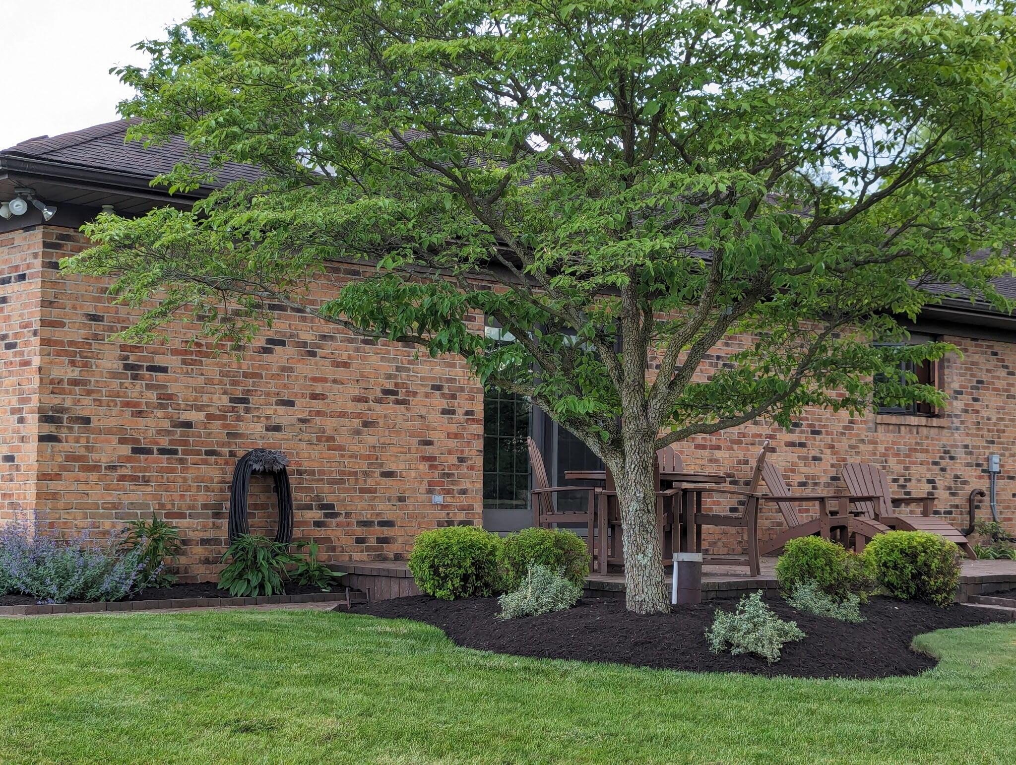 10810 Mc Intosh Road Pataskala, OH 43062 - Photo 55 of 80 Backyard
