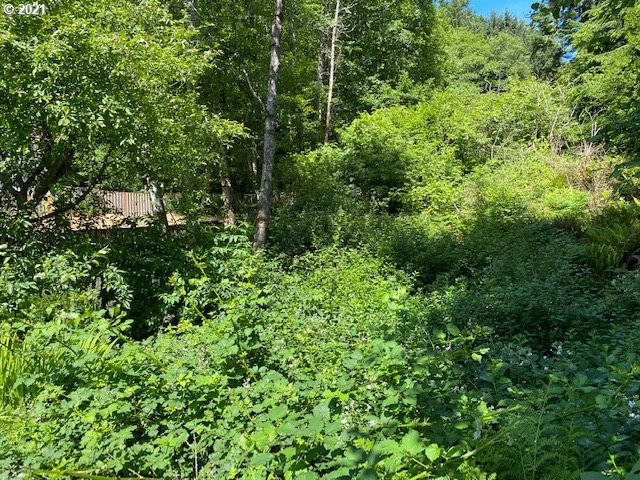 Old State Road, Unit 8701 Tillamook, OR 97141 - Photo 22 of 26 Gallery Image 22