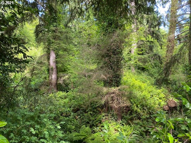Old State Road, Unit 8701 Tillamook, OR 97141 - Photo 5 of 26 Gallery Image 5