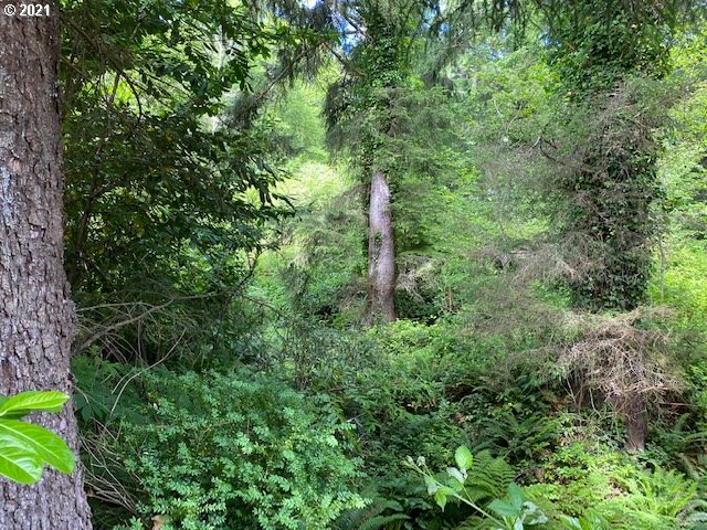 Old State Road, Unit 8701 Tillamook, OR 97141 - Photo 6 of 26 Gallery Image 6