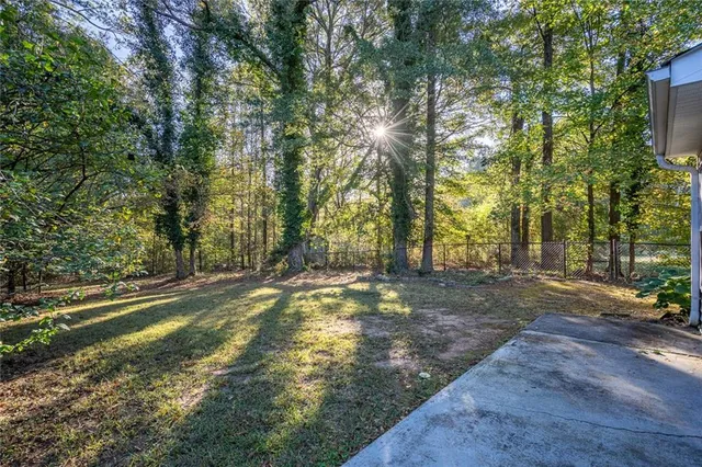 a view of a yard with large trees