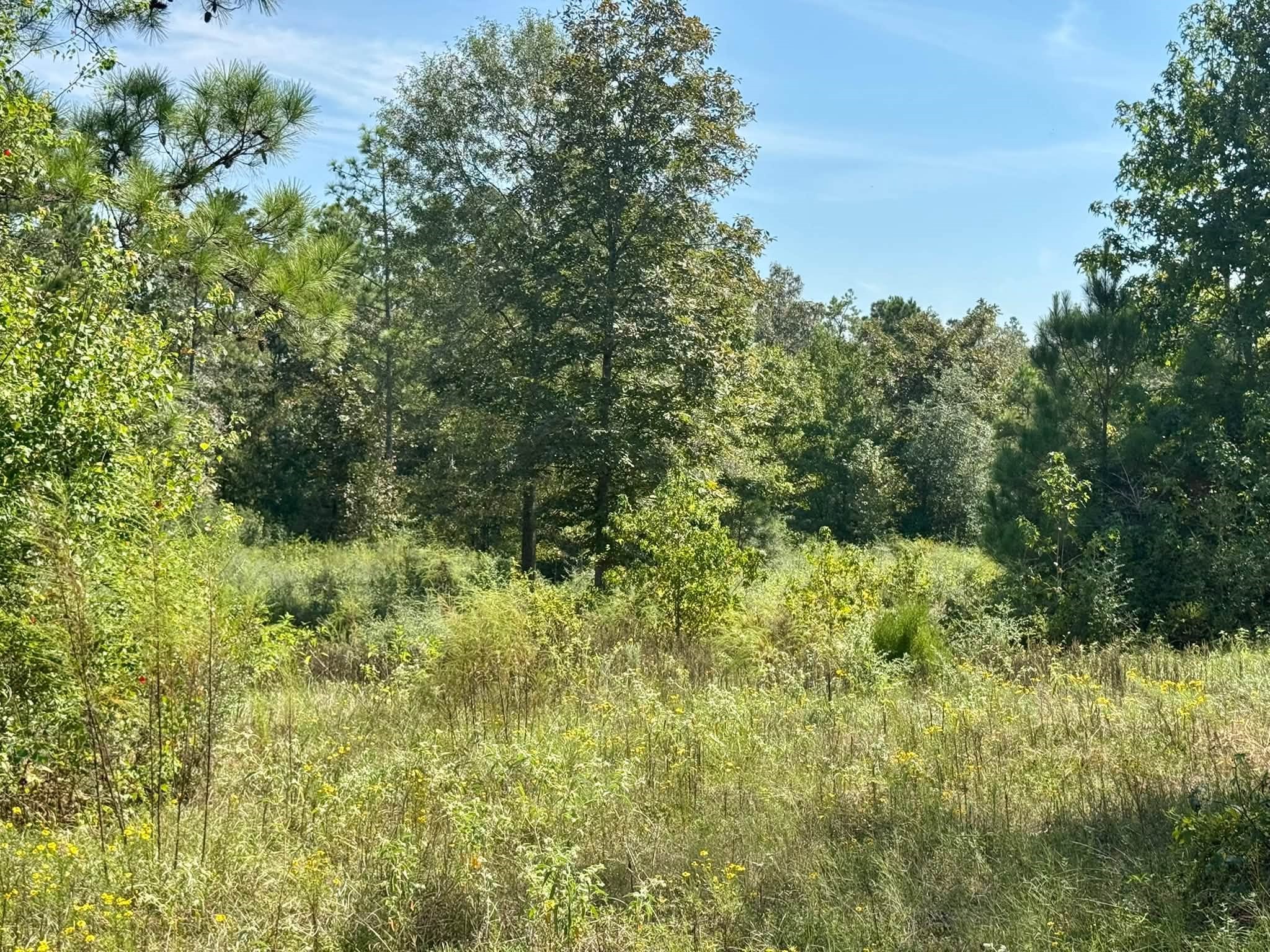 1 Private Road Hillister, TX 77624 - Photo 15 of 17 Gallery Image 15