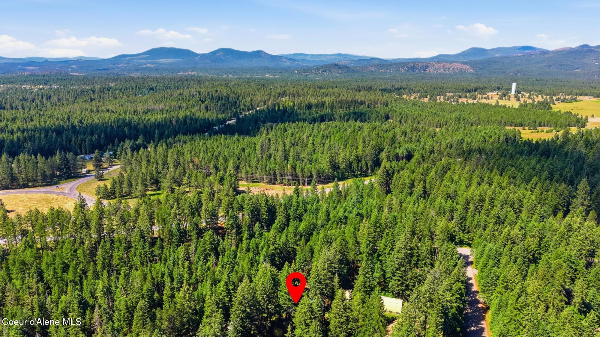 13118 Hellroaring Road Athol, ID 83801 - Photo 45 of 46 53_a 13118 hellroaring rd4.png