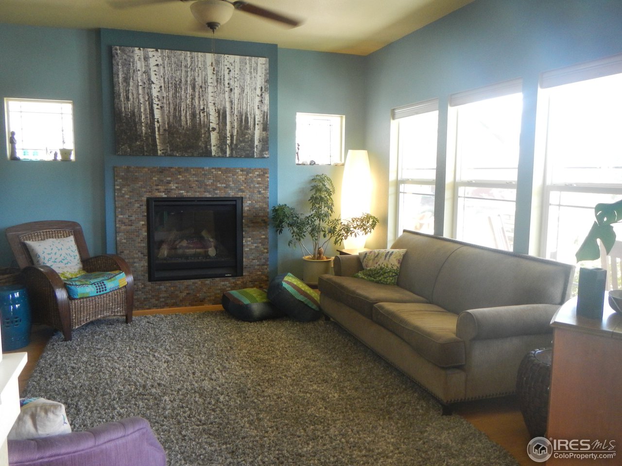 2256 Bellwether Lane Fort Collins, CO 80521 - Photo 3 of 25 sun-filled living room