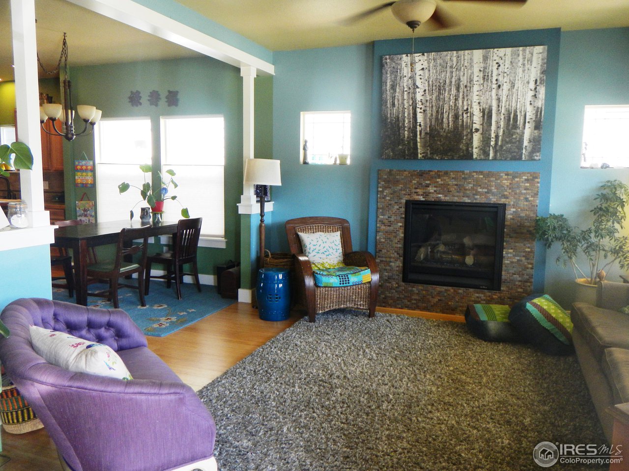 2256 Bellwether Lane Fort Collins, CO 80521 - Photo 4 of 25 southern exposure