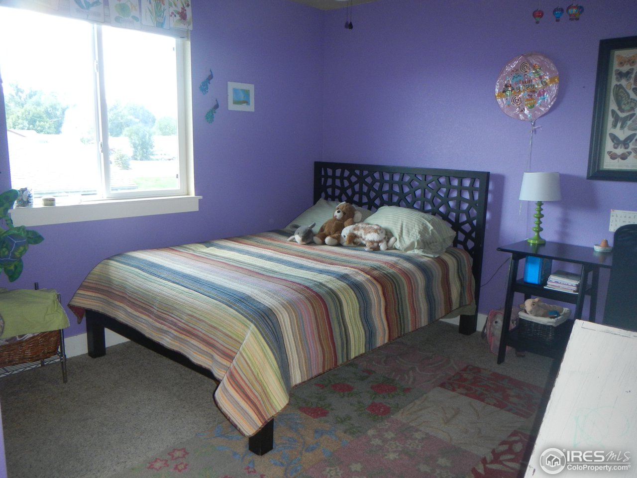2256 Bellwether Lane Fort Collins, CO 80521 - Photo 10 of 25 large second bedroom