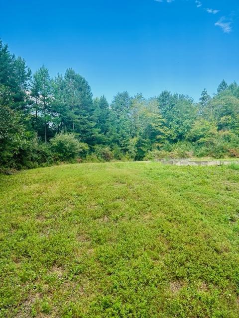 9999 Reed Valley Road London, KY 40744 - Photo 10 of 17 rv11