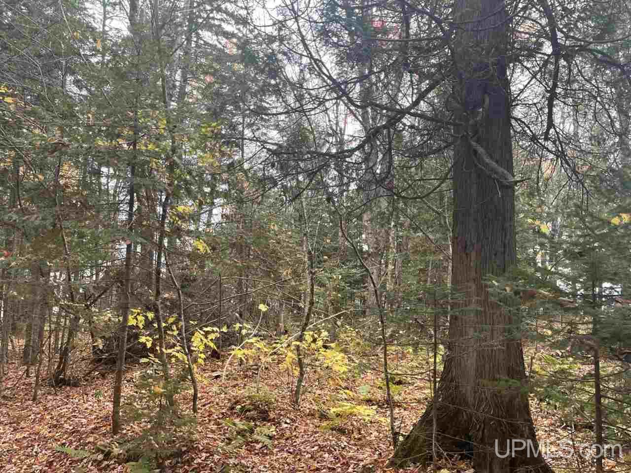 Tbd North Little Traverse Road Lake Linden, MI 49945 - Photo 15 of 17