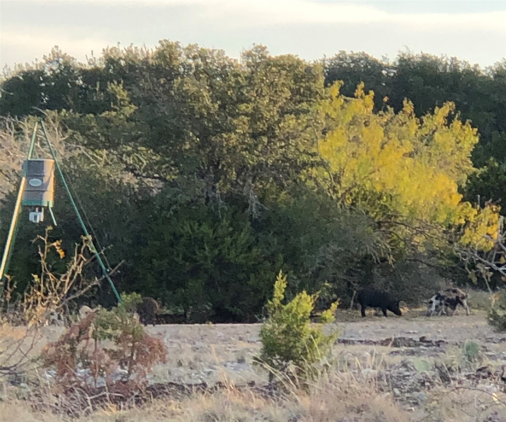 Tbd Tbd Pinon Pine Rocksprings, TX 78880 - Photo 11 of 18