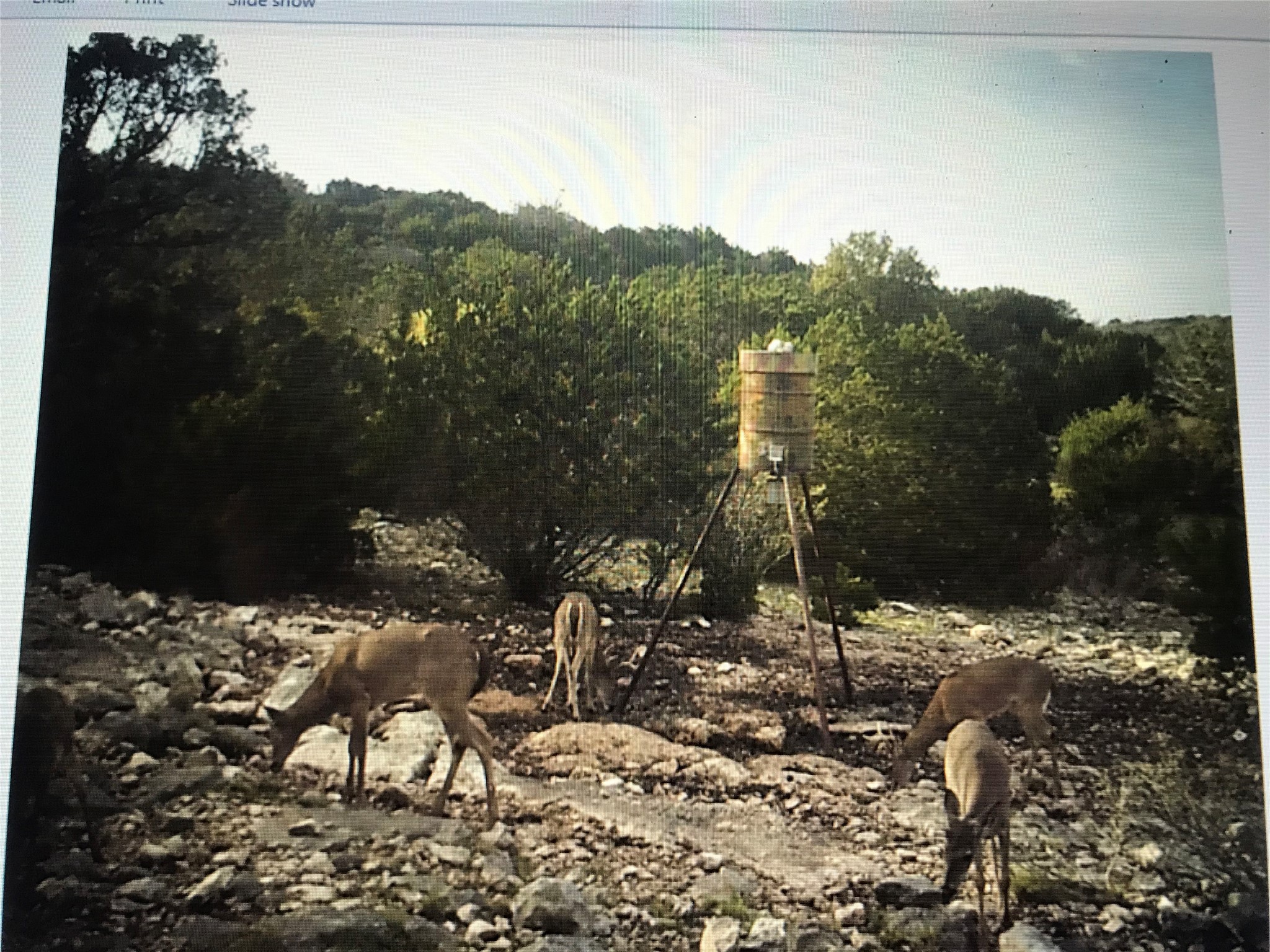 Tbd Tbd Pinon Pine Rocksprings, TX 78880 - Photo 14 of 18