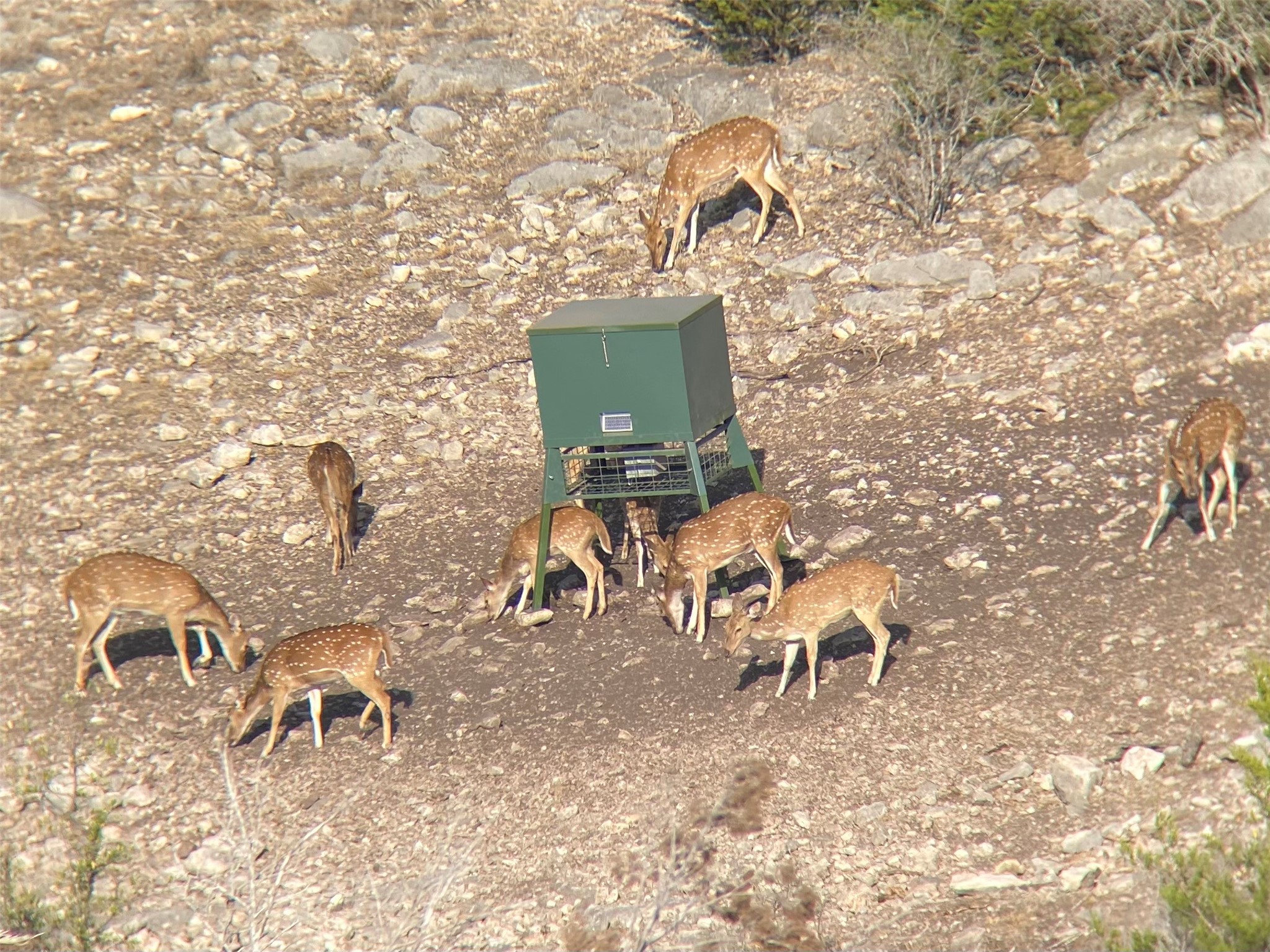Tbd Tbd Pinon Pine Rocksprings, TX 78880 - Photo 16 of 18
