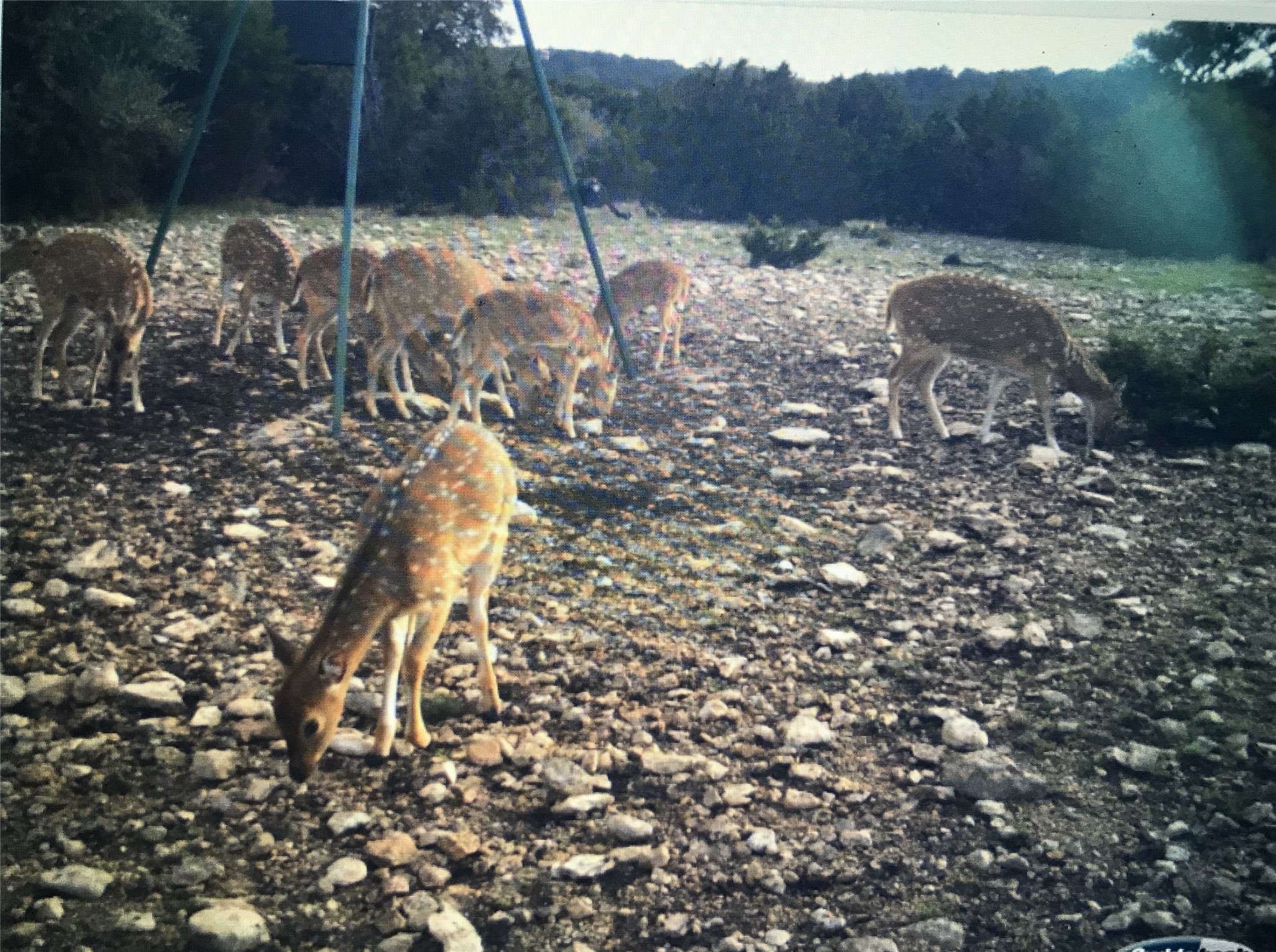 Tbd Tbd Pinon Pine Rocksprings, TX 78880 - Photo 17 of 18