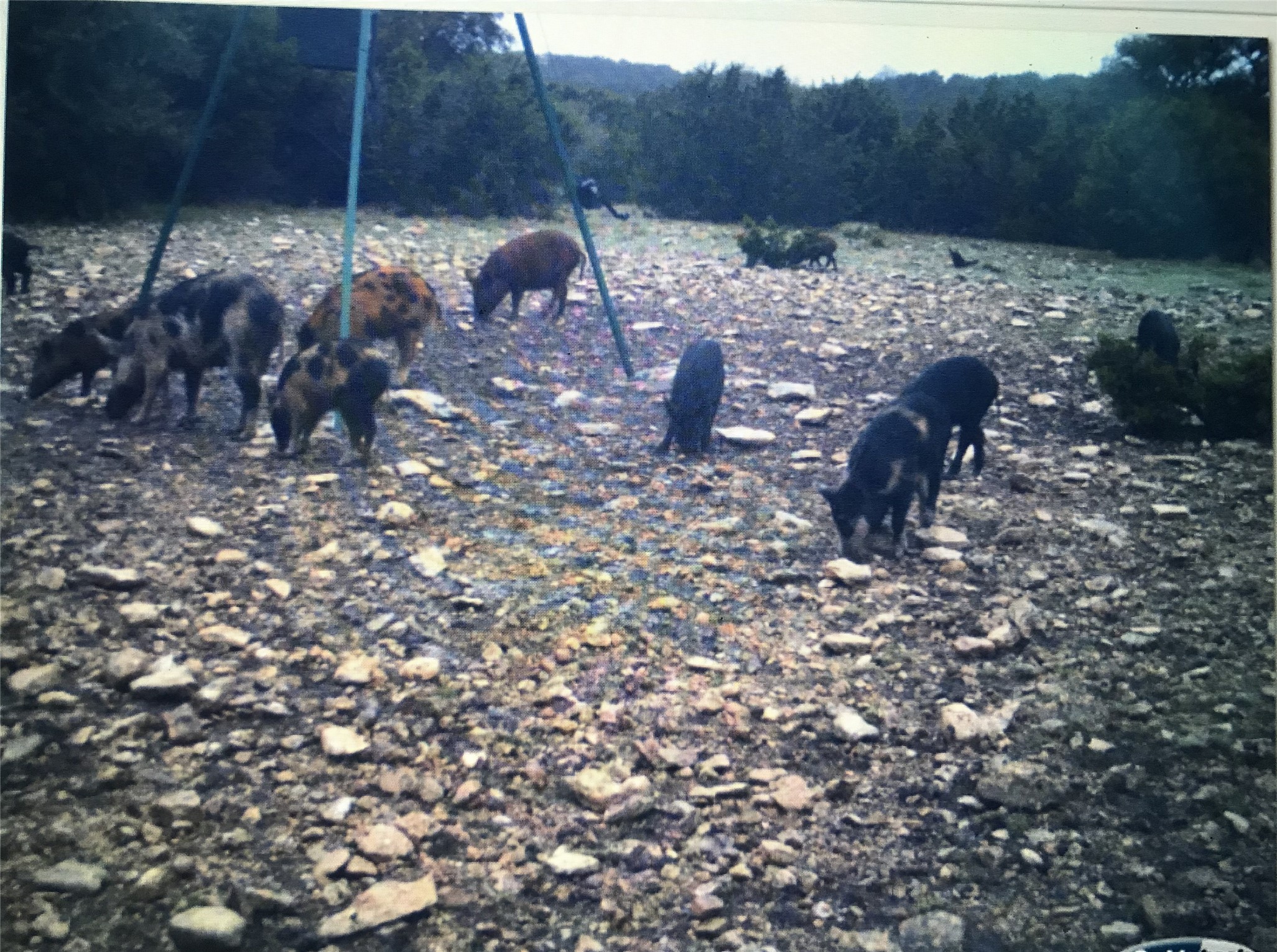 Tbd Tbd Pinon Pine Rocksprings, TX 78880 - Photo 18 of 18