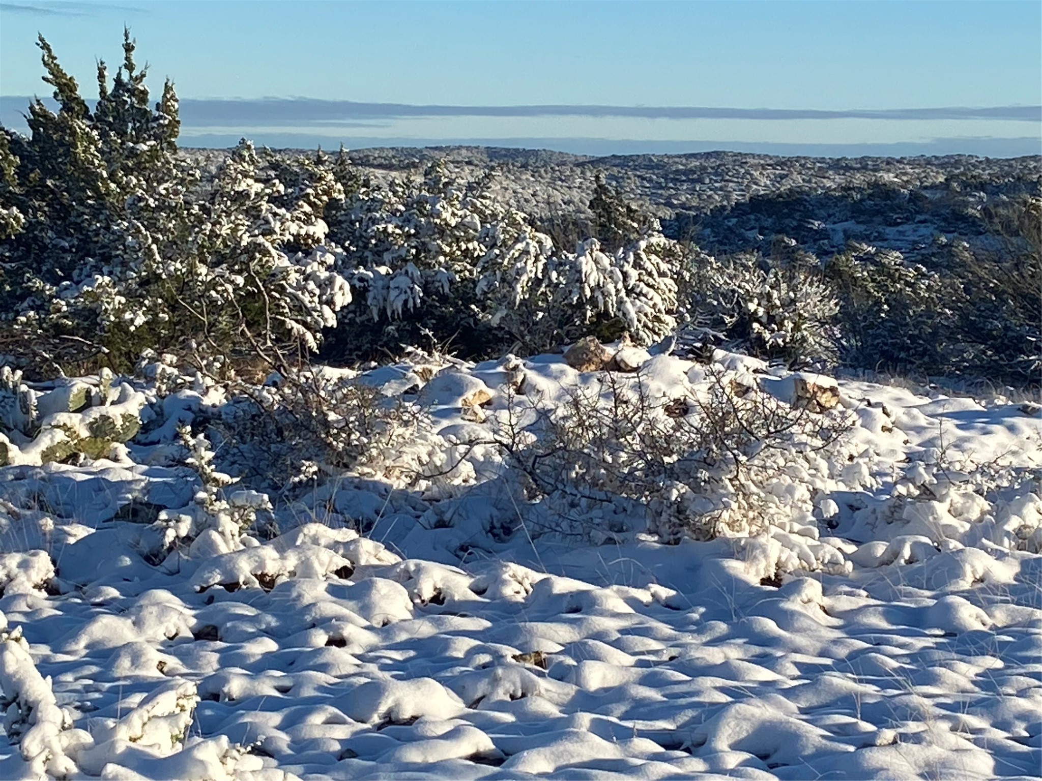 Tbd Tbd Pinon Pine Rocksprings, TX 78880 - Photo 3 of 18