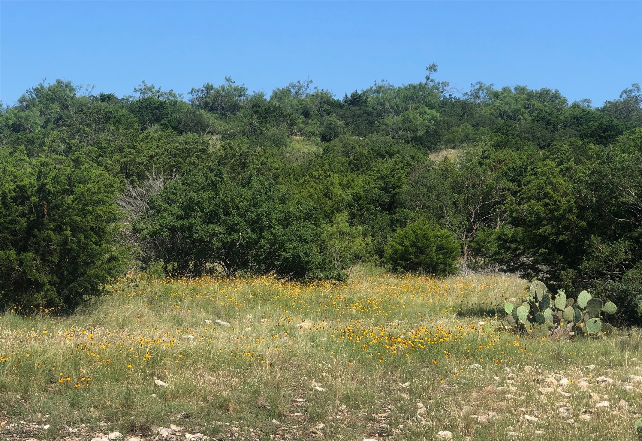 Tbd Tbd Pinon Pine Rocksprings, TX 78880 - Photo 9 of 18