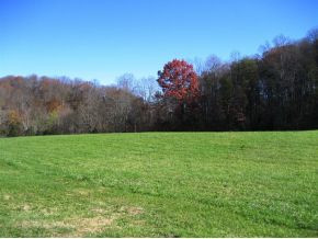 2190 Happy Valley Road Limestone, TN 37681 - Photo 13 of 16 Photo 13