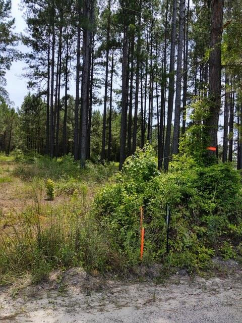 Tbd Wells Road Summerton, SC 29148 - Photo 5 of 6