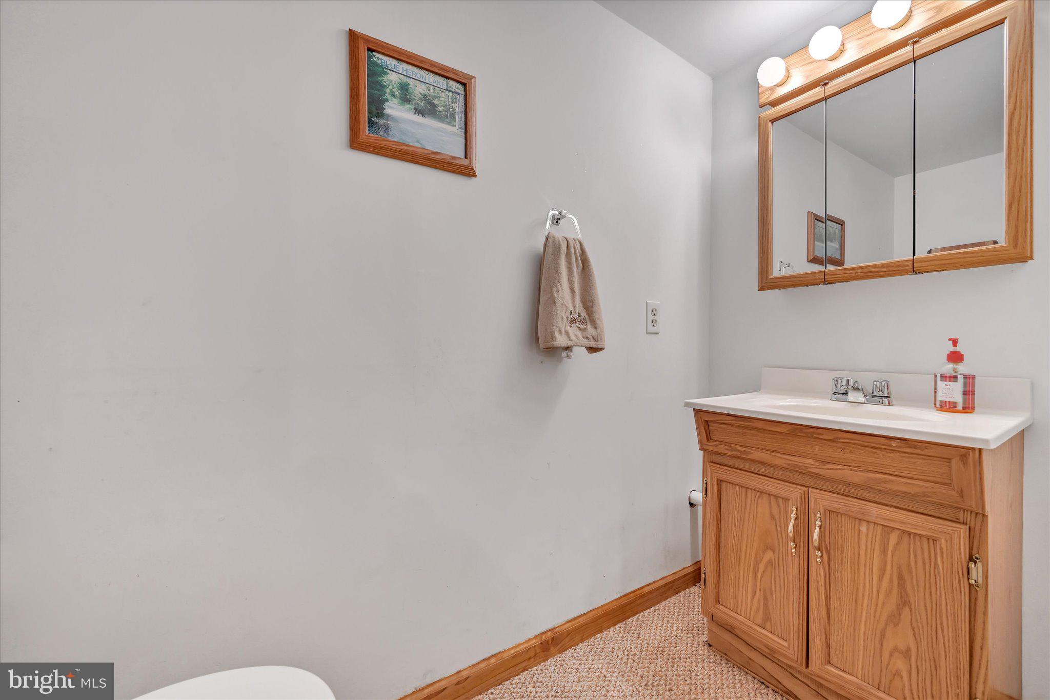 2706 Temple Drive Sinking Spring, PA 19608 - Photo 38 of 44 Gallery Image 38