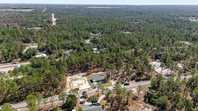 an aerial view of a house with a yard and large trees