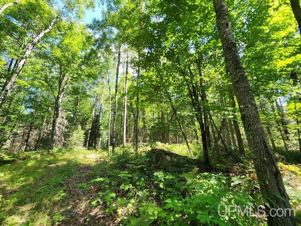 2.63-acres Sheltrow Road, Unit LOT 6PAINT RIVER HIGHLAN Crystal Falls, MI 49920 - Photo 34 of 53 Gallery Image 34