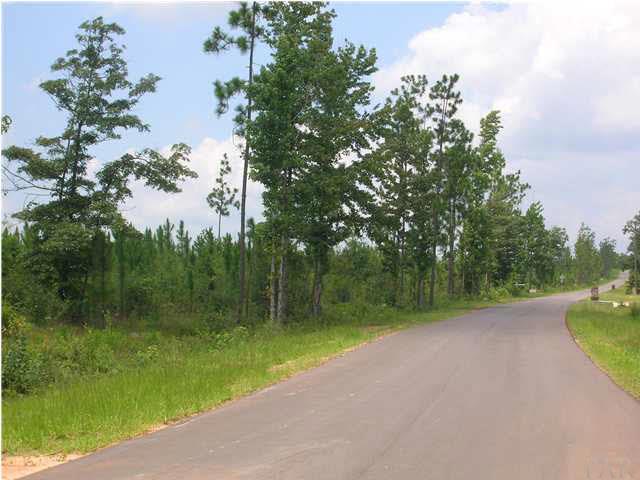 Lot 11 Dobson Road Jay, FL 32565 - Photo 1 of 7 View From Dobson Rd