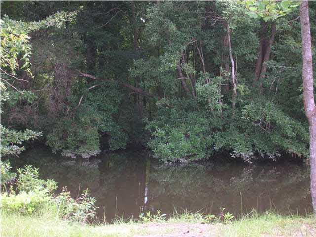 Lot 11 Dobson Road Jay, FL 32565 - Photo 6 of 7 Fishing!!