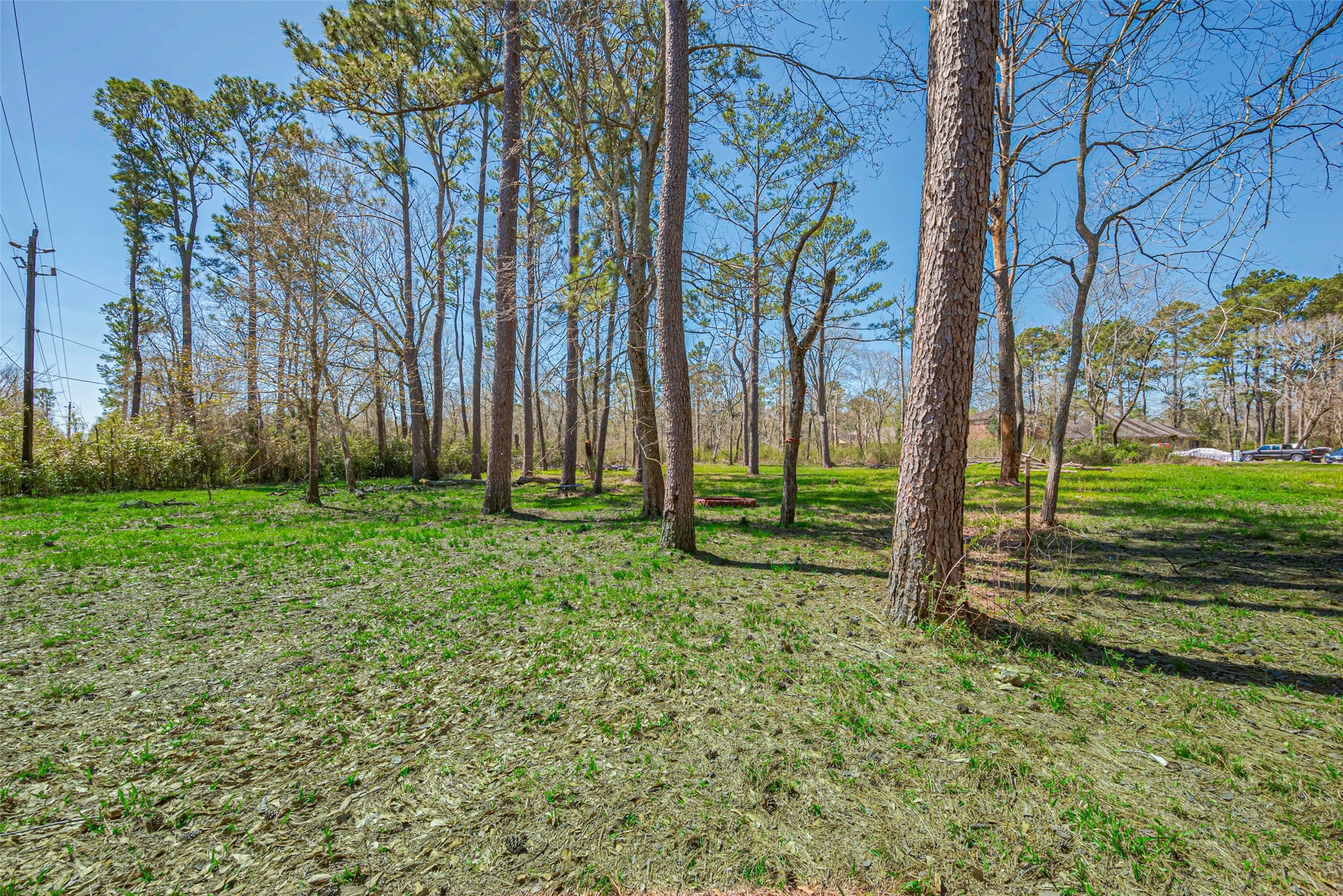 0 Stag Circle Huffman, TX 77336 - Photo 2 of 15 a view of backyard