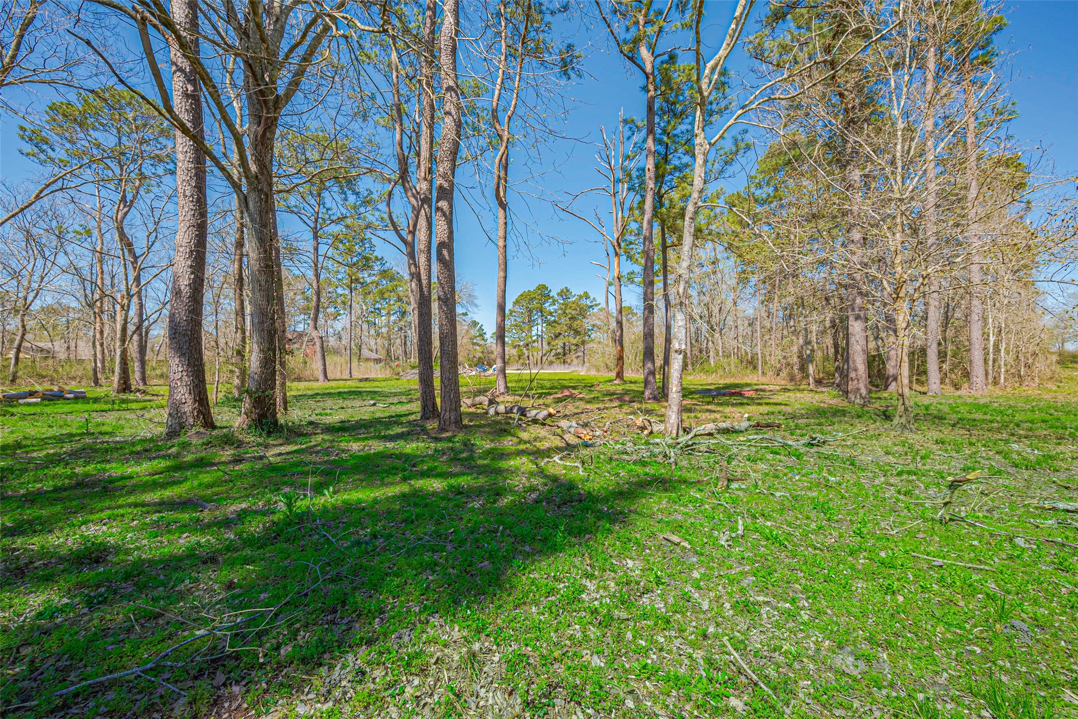 0 Stag Circle Huffman, TX 77336 - Photo 3 of 15 a backyard of a building with trees