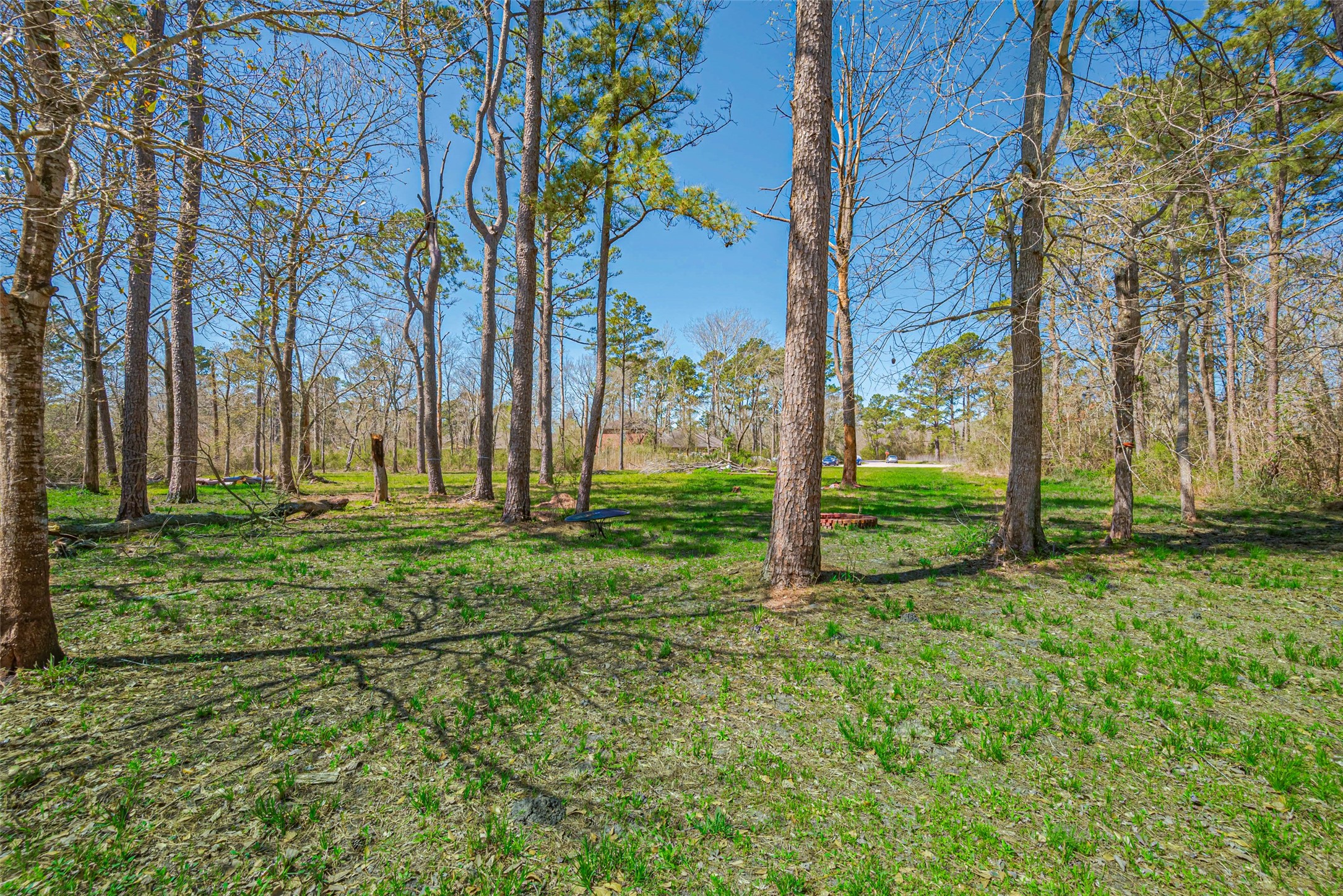 0 Stag Circle Huffman, TX 77336 - Photo 4 of 15 a view of a park with large trees