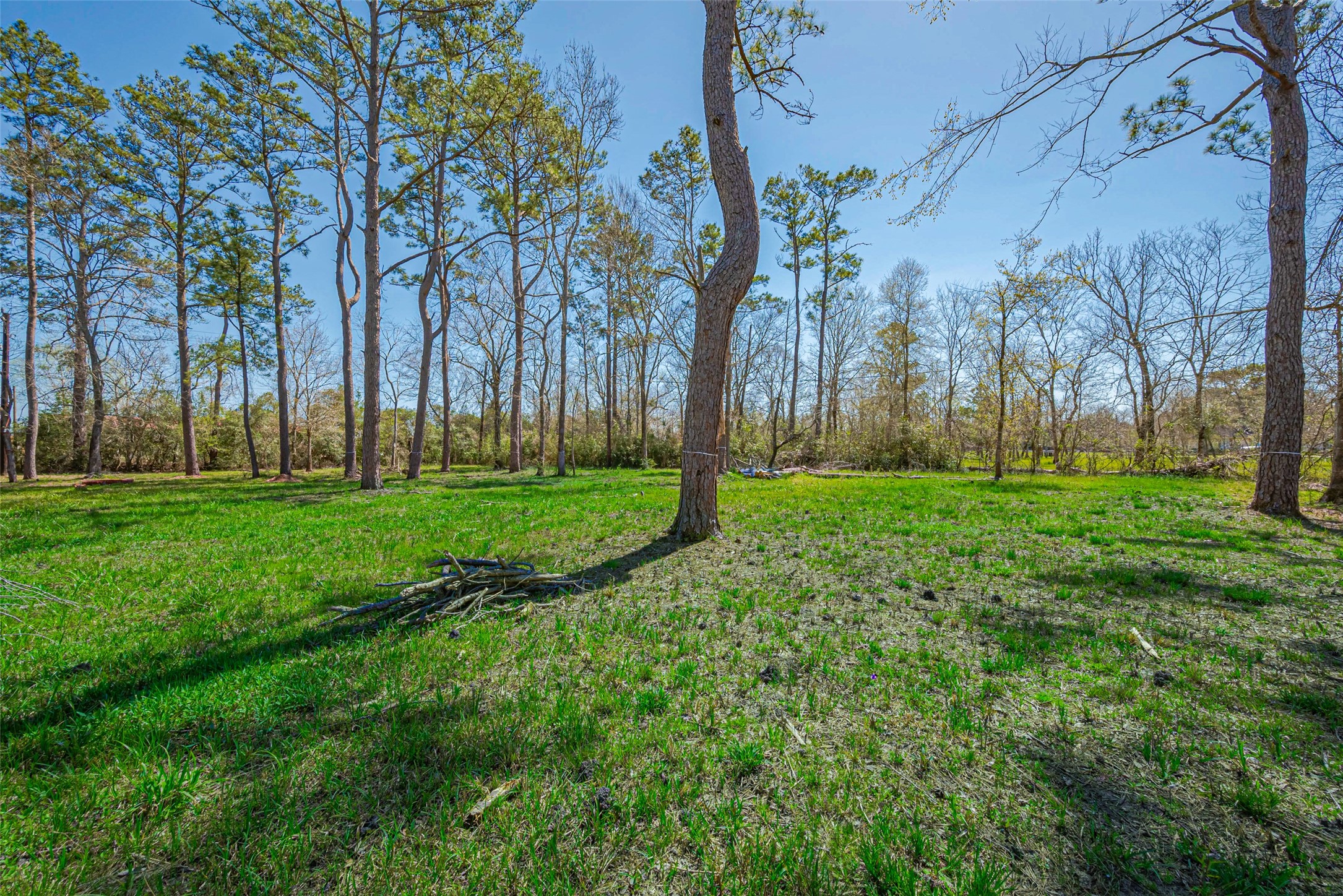 0 Stag Circle Huffman, TX 77336 - Photo 9 of 15 a view of a park with large trees