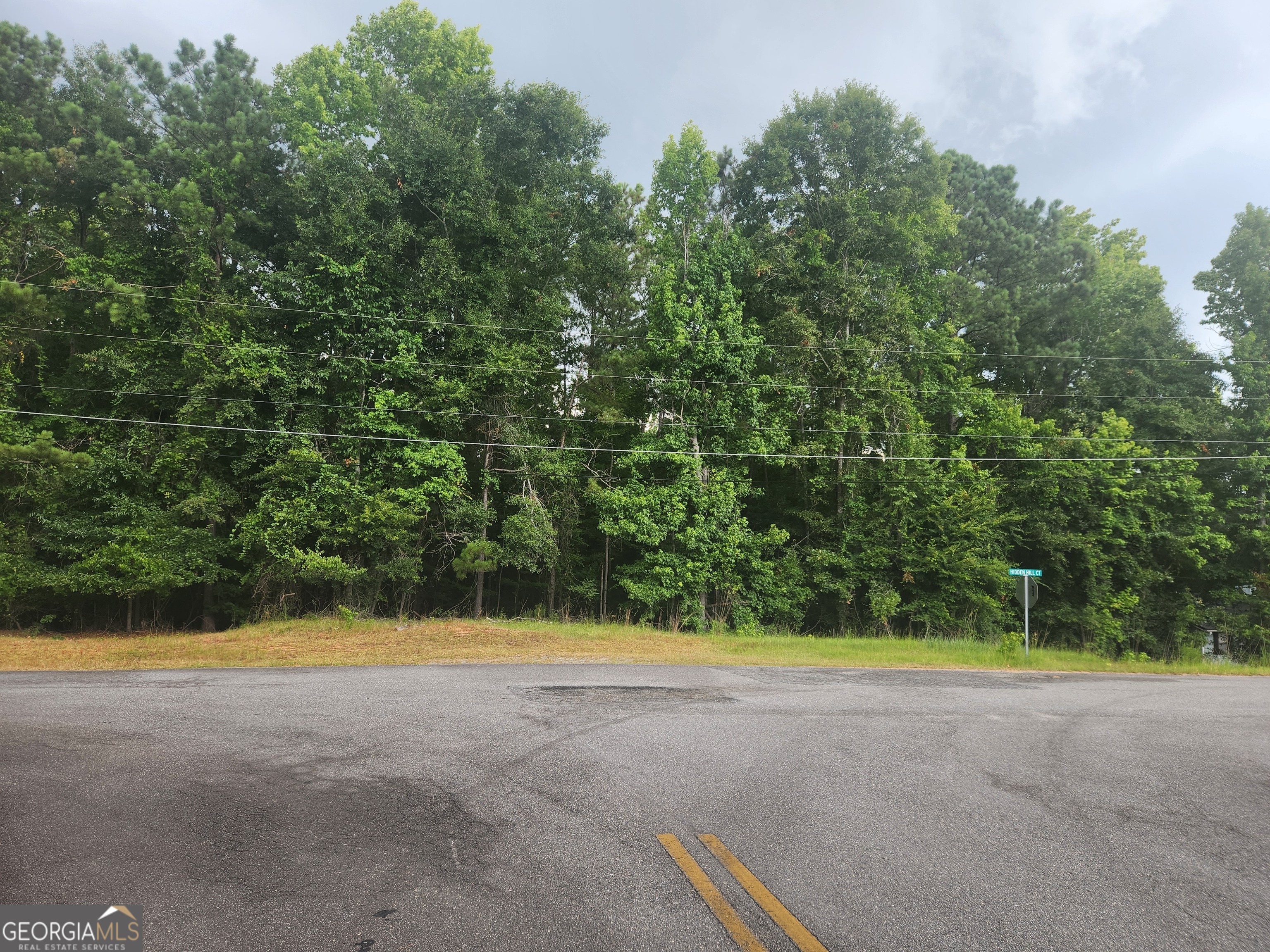 0 Hidden Hills Macon, GA 31217 - Photo 2 of 6 a view of outdoor space yard and swimming pool