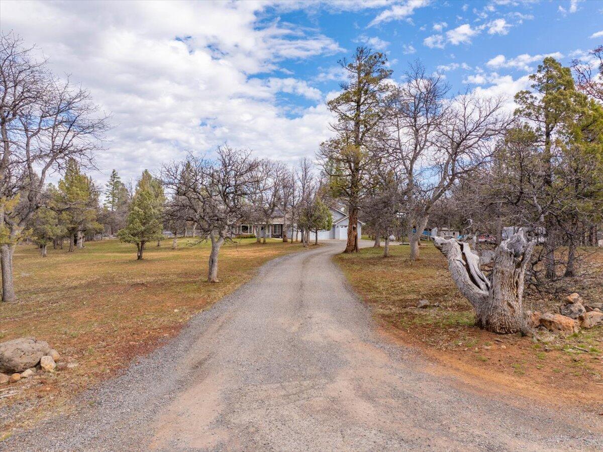 43139 Shoshoni Loop Fall River Mills, CA 96028 - Photo 43 of 57 50-43139 Shoshoni Loop (44 of 55)