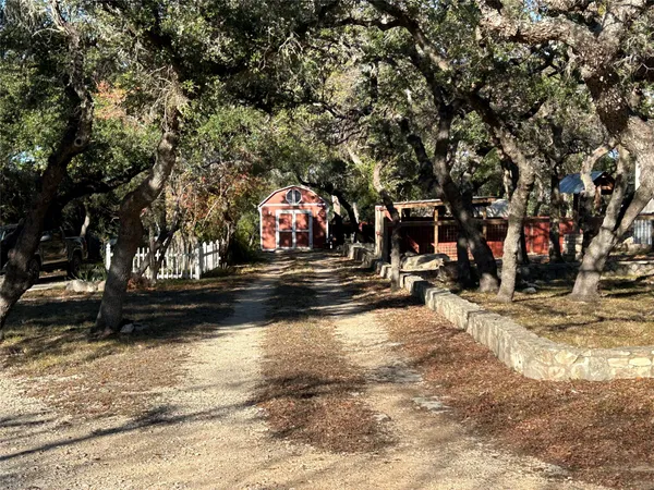 a view of a tree with a park
