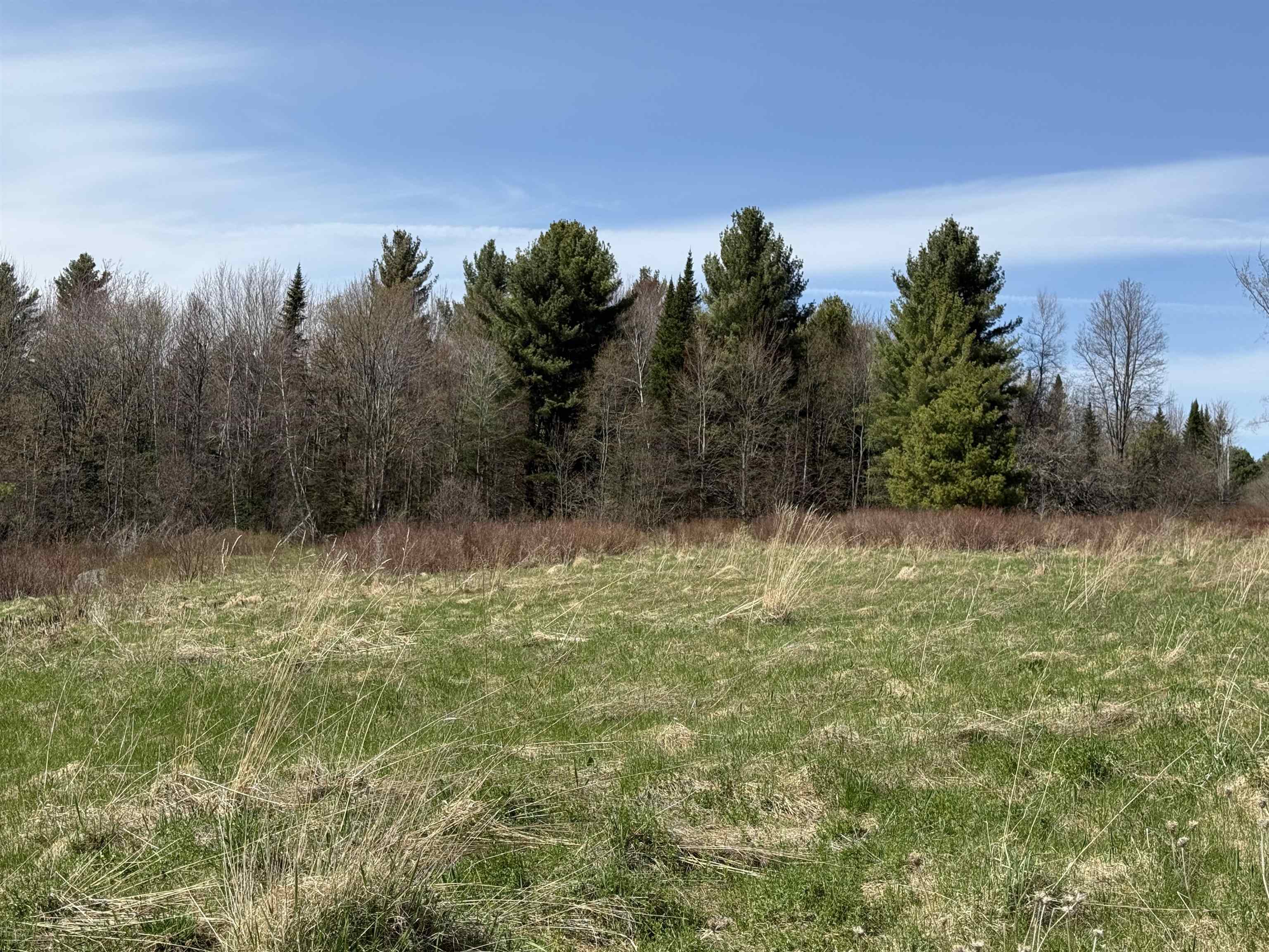 0 Loop Road Jay, VT 05859 - Photo 3 of 7