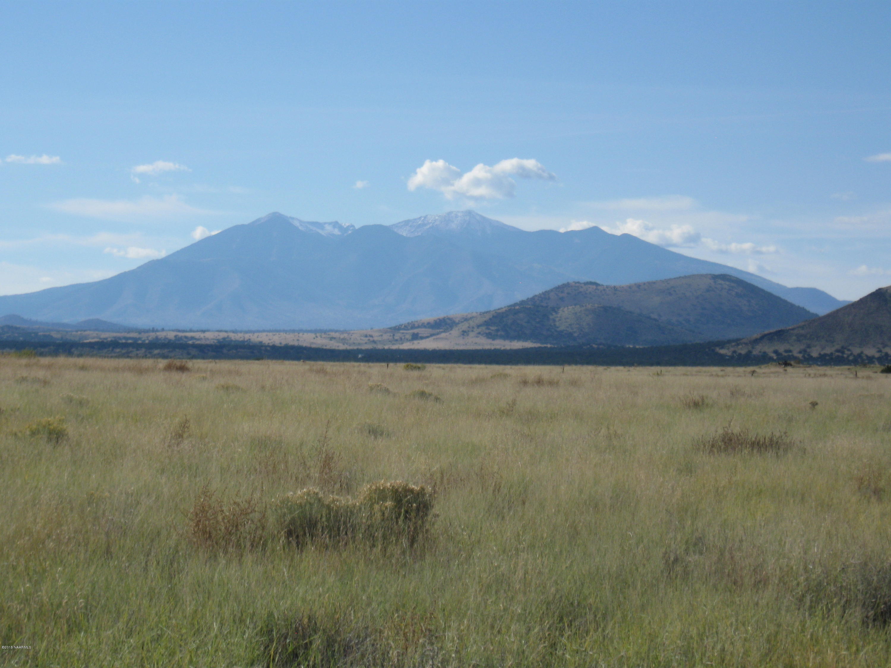 17-050 Alpine Ranch Flagstaff, AZ 86004 - Photo 1 of 8 View of the Peaks