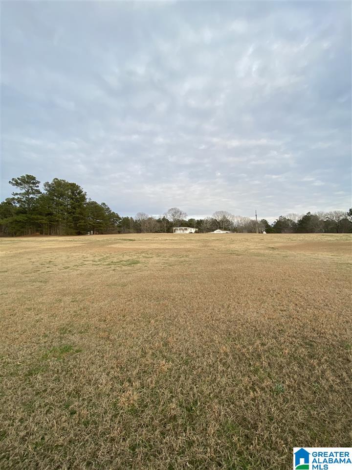 2228 Corner Road Warrior, AL 35180 - Photo 3 of 3