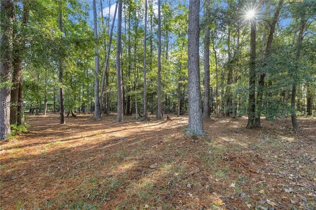 $95,000 | 3 Oakland Place, Okatie, SC 29909