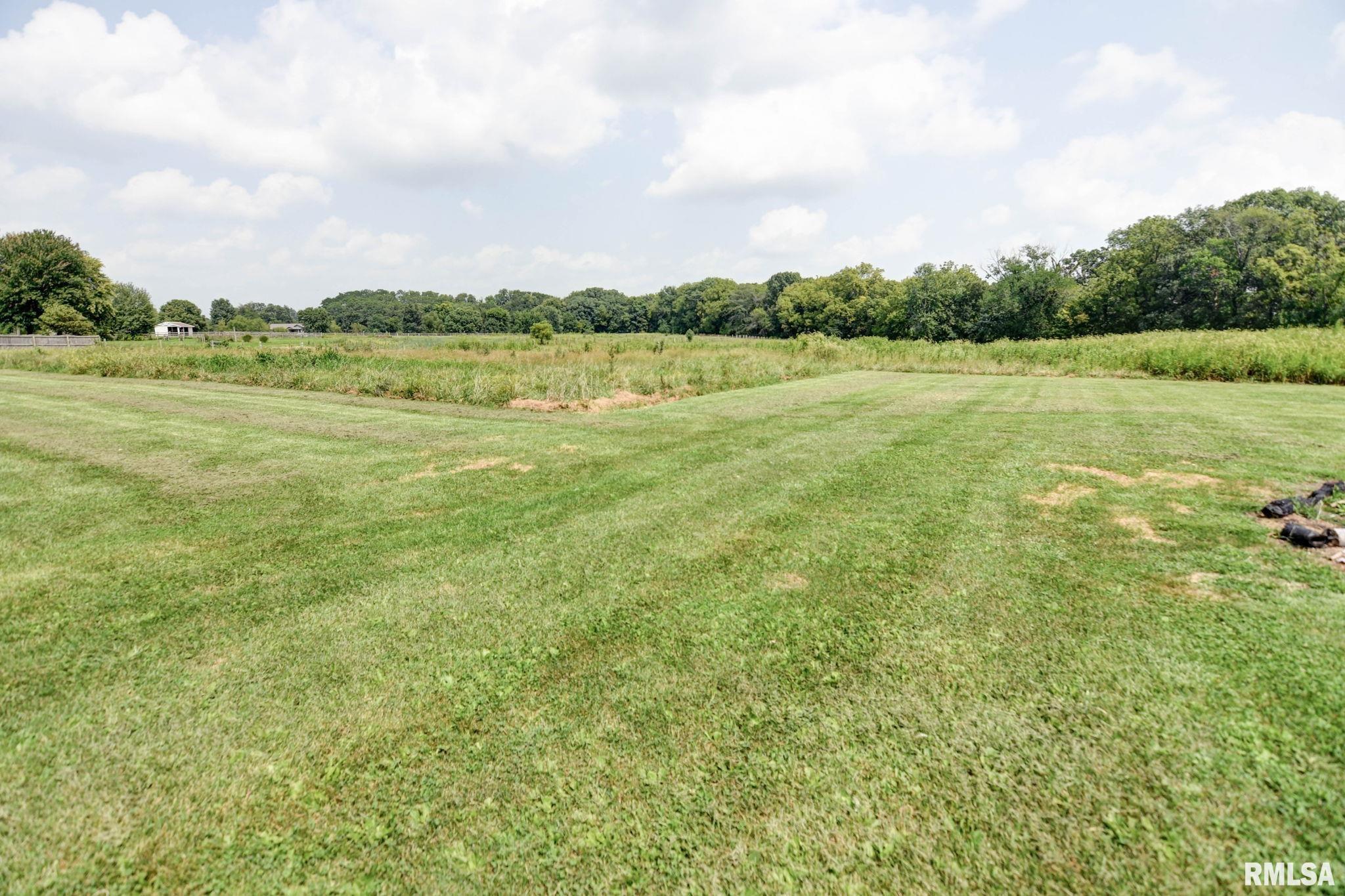 6072 Iron Bridge Road Chatham, IL 62629 - Photo 32 of 50