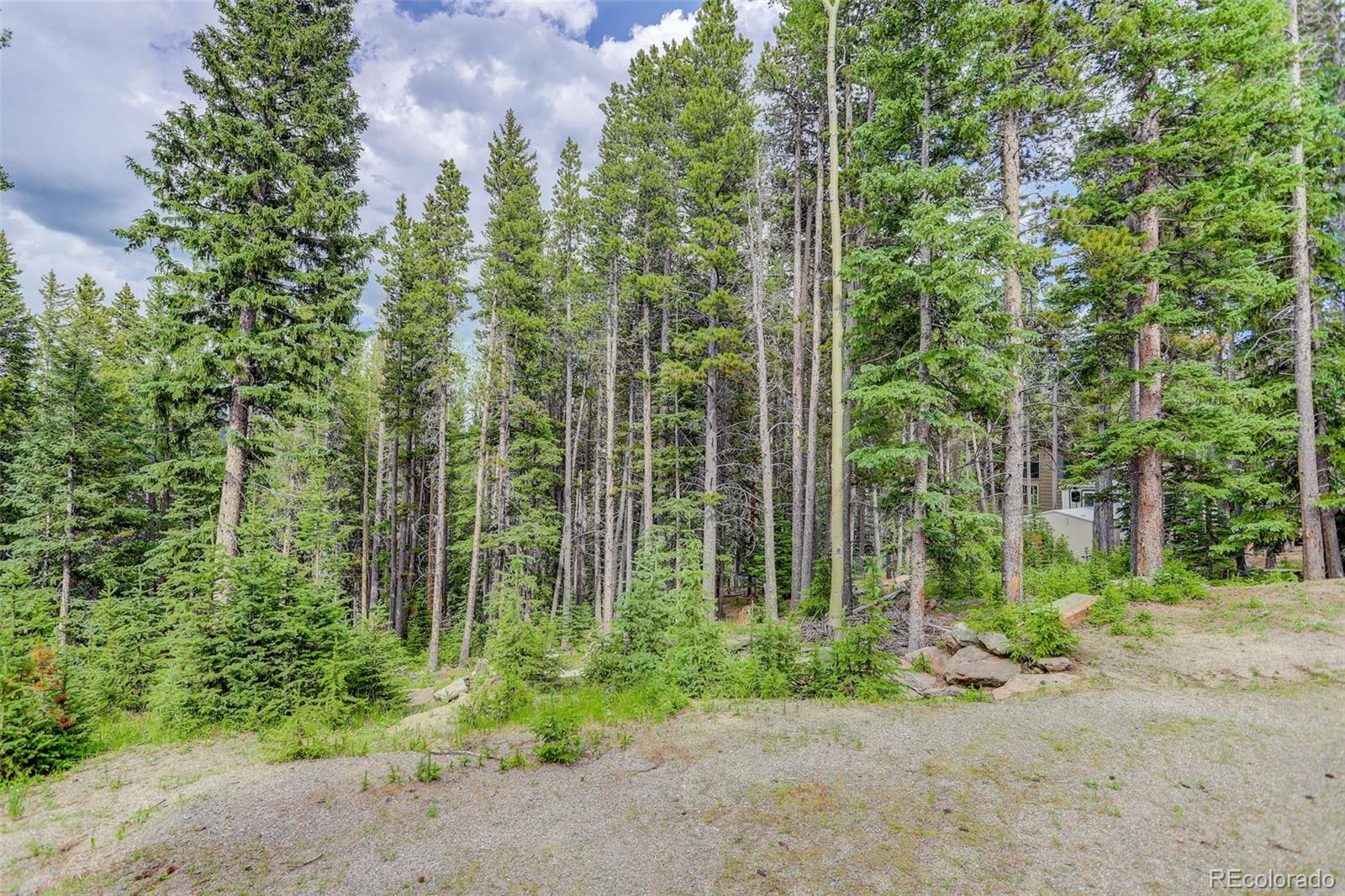239 Long Road Idaho Springs, CO 80452 - Photo 11 of 21 Gallery Image 11