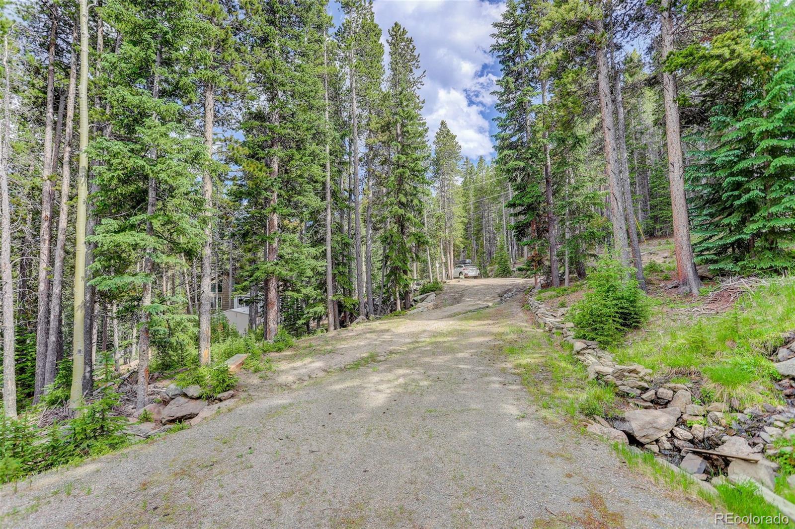 239 Long Road Idaho Springs, CO 80452 - Photo 12 of 21 Gallery Image 12