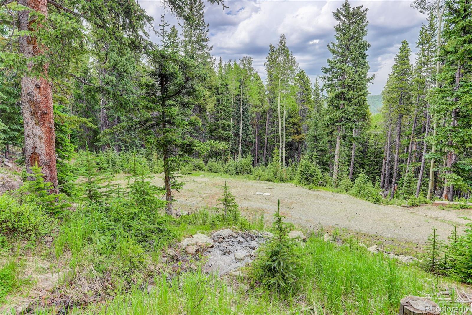 239 Long Road Idaho Springs, CO 80452 - Photo 21 of 21 Gallery Image 21