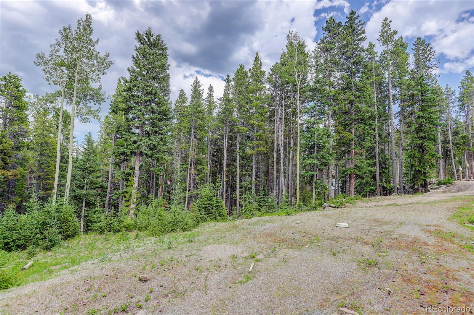 239 Long Road Idaho Springs, CO 80452 - Photo 3 of 21 Gallery Image 3