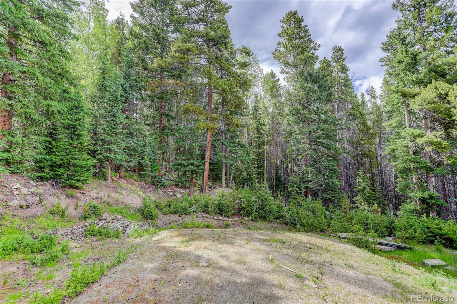 239 Long Road Idaho Springs, CO 80452 - Photo 8 of 21 Gallery Image 8