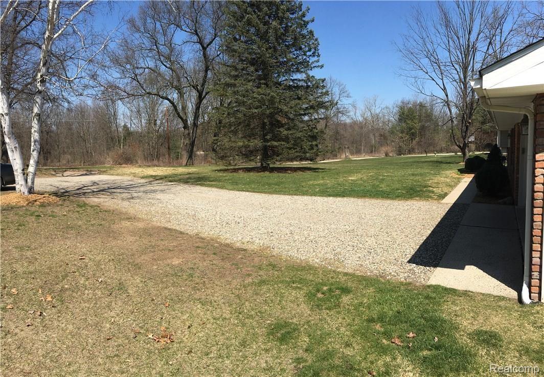 front yard.JPG