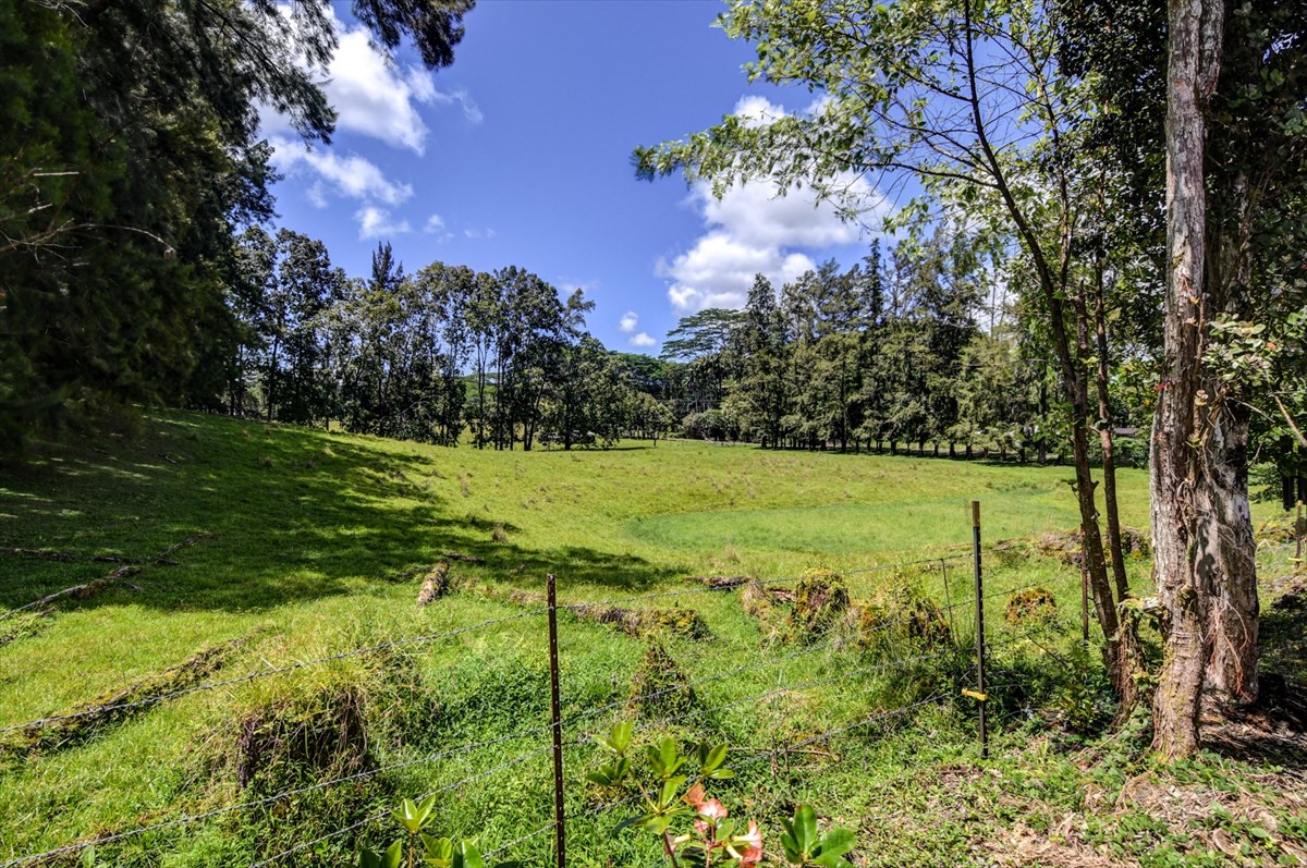17-814 Volcano Road Kurtistown, HI 96760 - Photo 9 of 20 Gallery Image 9