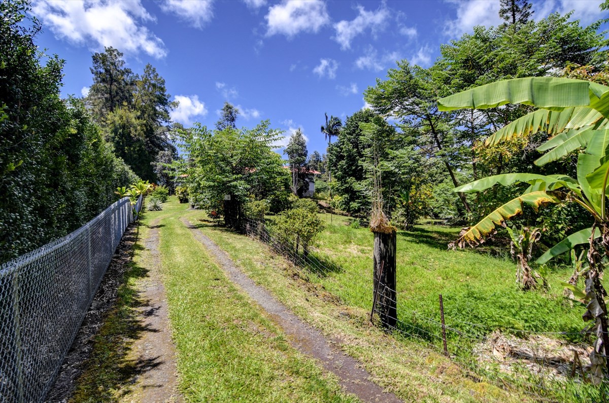 17-814 Volcano Road Kurtistown, HI 96760 - Photo 10 of 20 Gallery Image 10